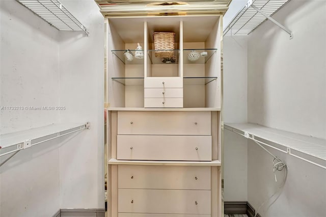 view of spacious closet