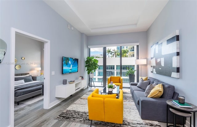 living room featuring wood-type flooring and a tray ceiling