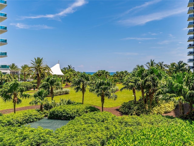 view of home's community featuring a yard