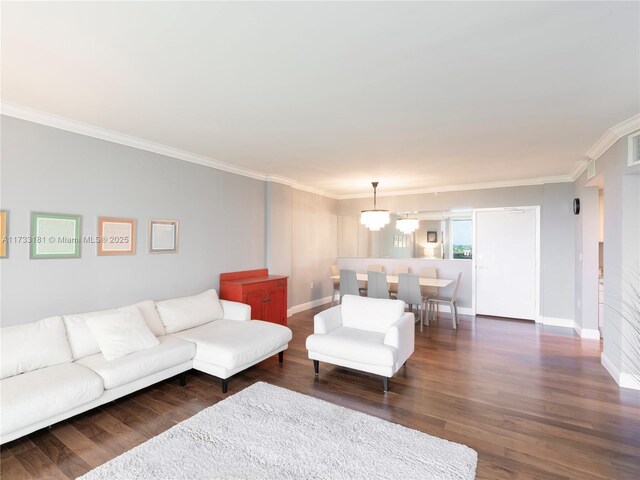 living room with dark hardwood / wood-style flooring, crown molding, and a wall of windows