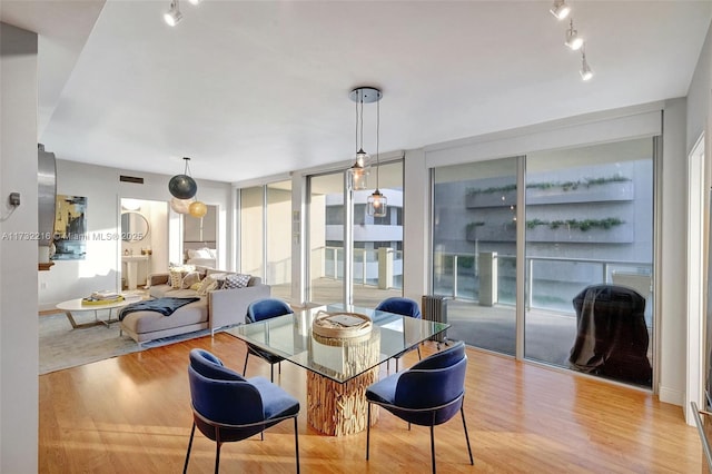 dining area featuring expansive windows and light hardwood / wood-style floors