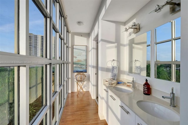 bathroom with vanity, a wealth of natural light, and wood-type flooring