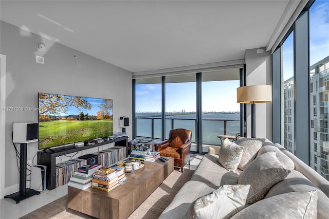 carpeted living room with expansive windows