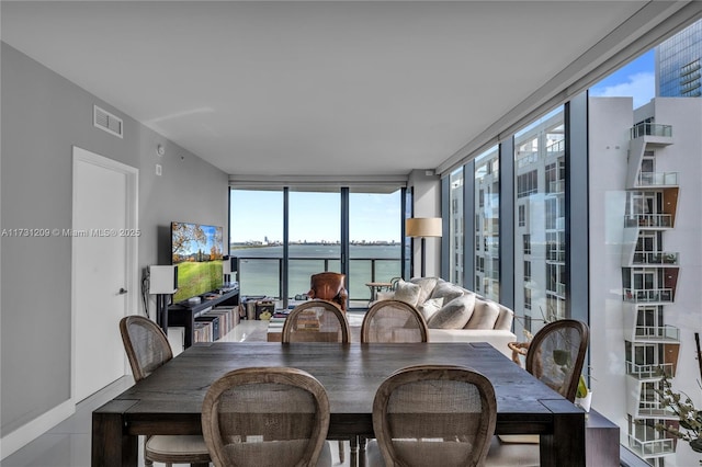 sunroom with plenty of natural light