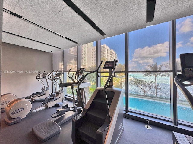 gym featuring floor to ceiling windows and a wealth of natural light