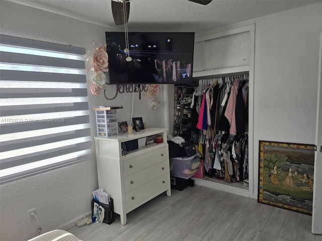 spacious closet with light hardwood / wood-style floors