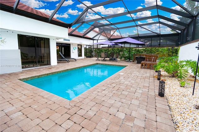 view of swimming pool with a lanai and a patio area