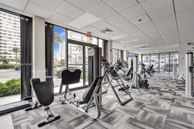 exercise room with expansive windows, a paneled ceiling, and carpet flooring