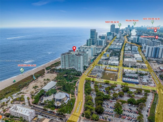 aerial view with a view of the beach and a water view