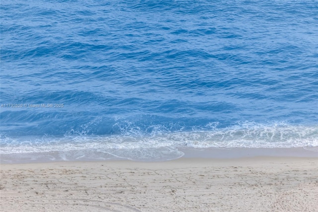 water view featuring a beach view