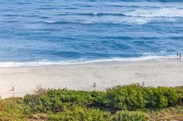 property view of water with a beach view