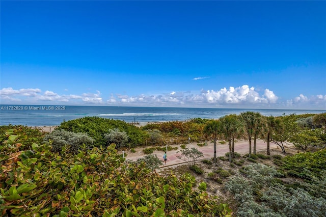 property view of water with a view of the beach