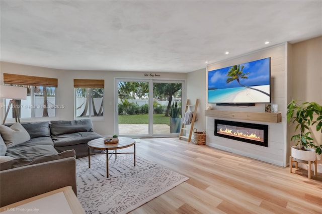 living room featuring light hardwood / wood-style flooring and a wealth of natural light