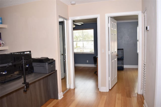 hallway with light hardwood / wood-style floors and a textured ceiling