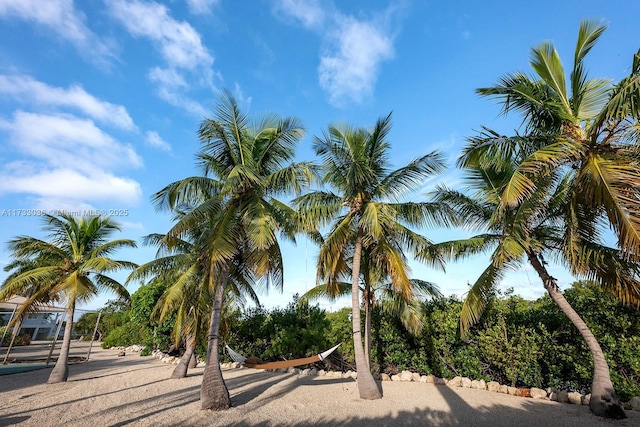 view of property's community