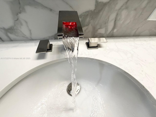 interior details with a sink
