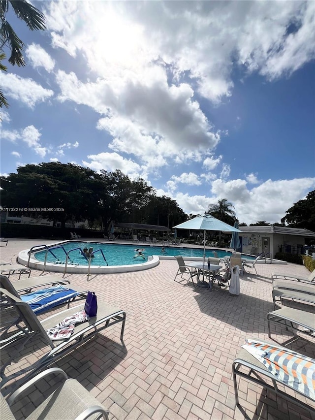 view of pool featuring a patio area