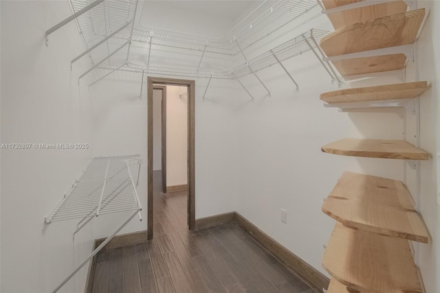 walk in closet featuring wood tiled floor