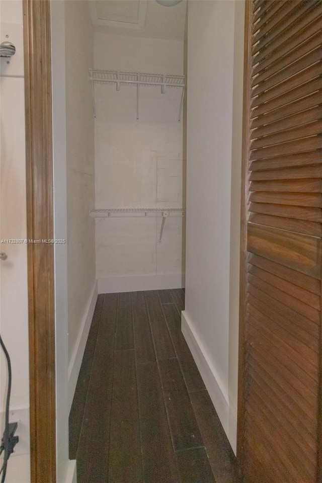 walk in closet with dark wood-style floors