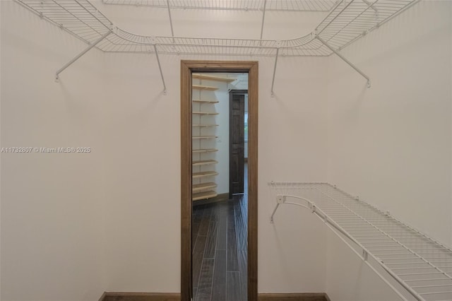 spacious closet featuring wood finished floors