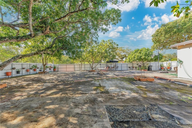 view of yard featuring a patio and a fenced backyard