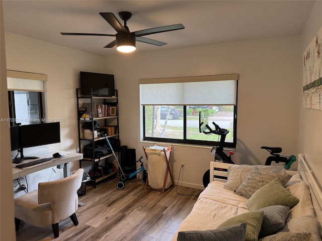 home office with hardwood / wood-style flooring and ceiling fan