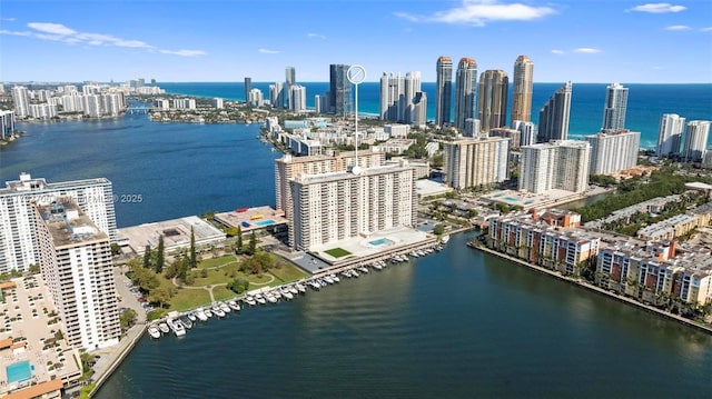 birds eye view of property with a water view