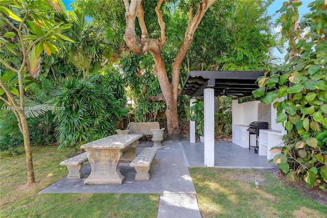 view of patio featuring grilling area