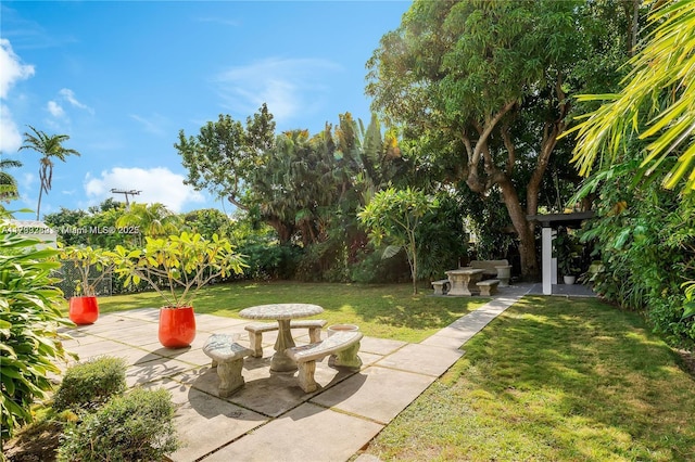 view of yard with a patio