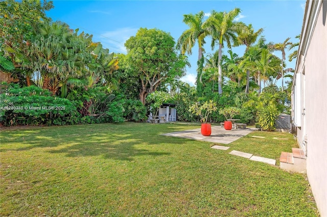 view of yard with a patio