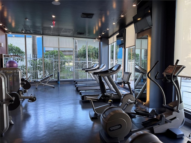 workout area featuring plenty of natural light and floor to ceiling windows