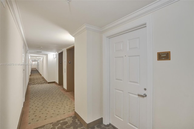 hall with crown molding