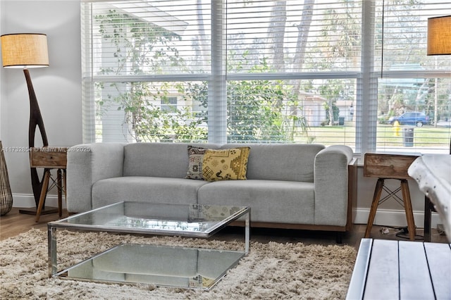 living room with wood-type flooring and a wealth of natural light