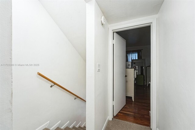 hallway featuring carpet