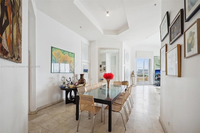 dining room featuring a raised ceiling