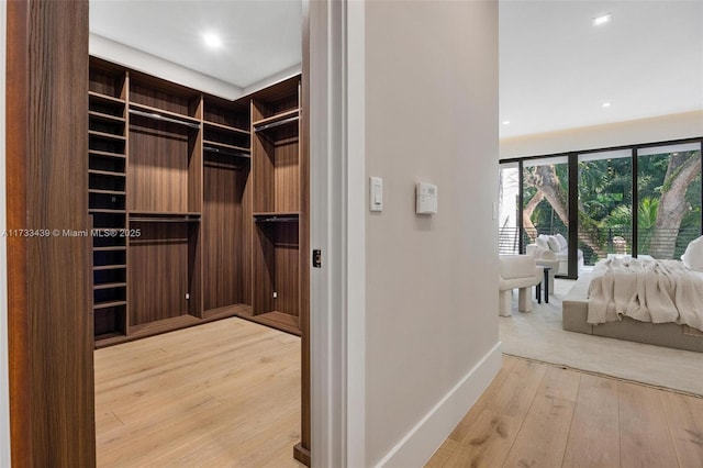 walk in closet featuring light hardwood / wood-style flooring