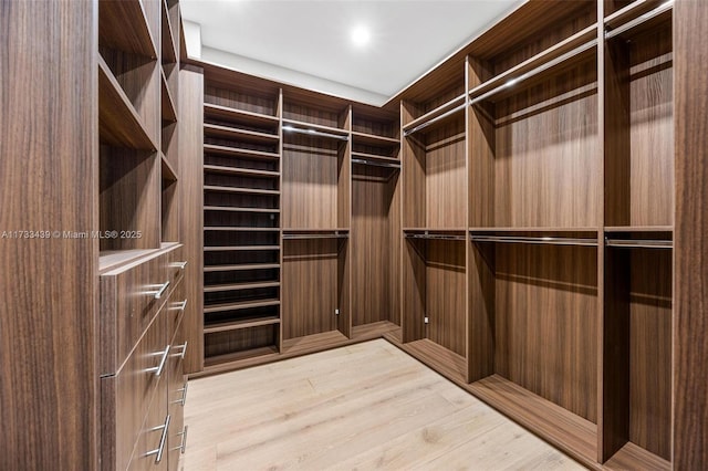 spacious closet with light wood-type flooring