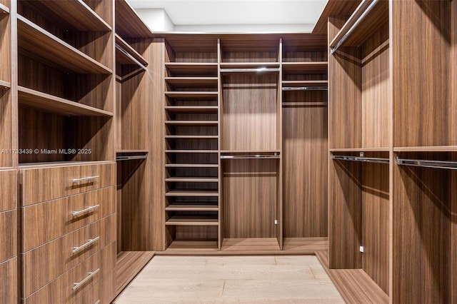 spacious closet featuring light hardwood / wood-style floors