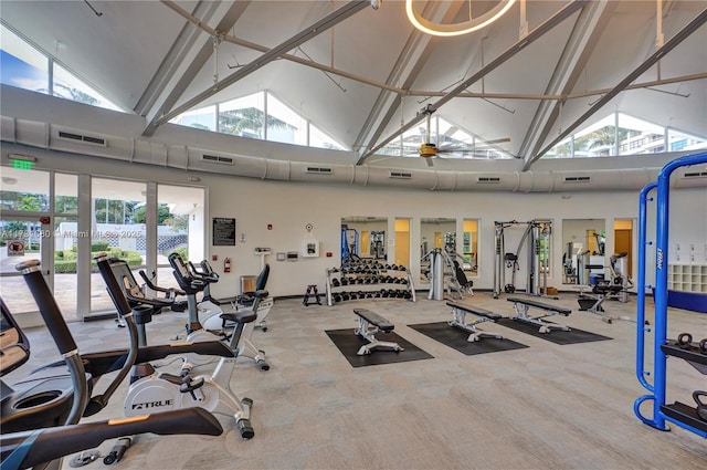 exercise room with carpet flooring and high vaulted ceiling