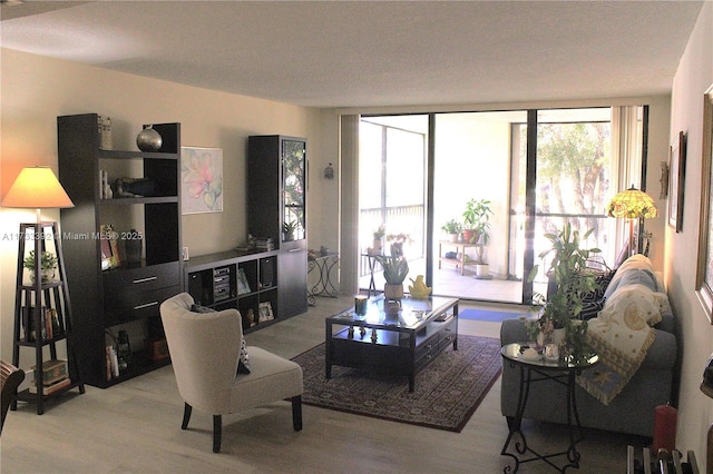 living room featuring a wall of windows and light hardwood / wood-style flooring