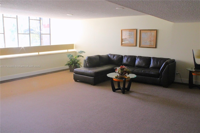 living room featuring a textured ceiling and carpet