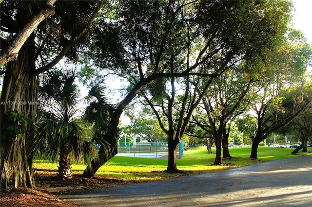 view of home's community featuring a yard