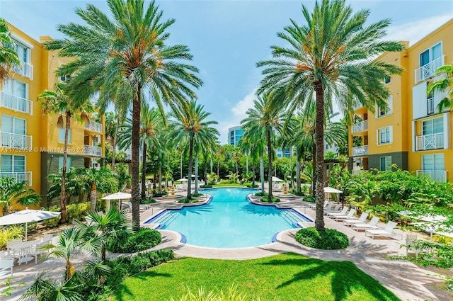 view of swimming pool