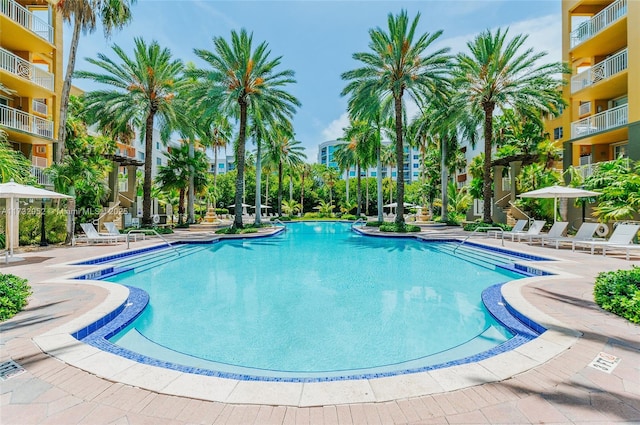 view of swimming pool featuring a patio area