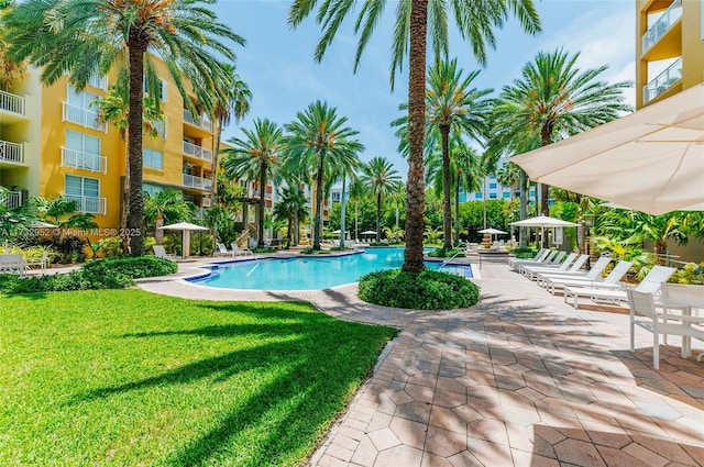 view of swimming pool featuring a patio and a yard