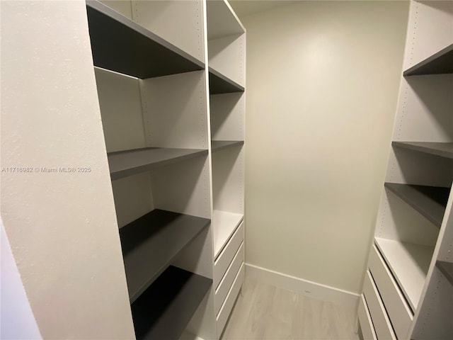 view of walk in closet