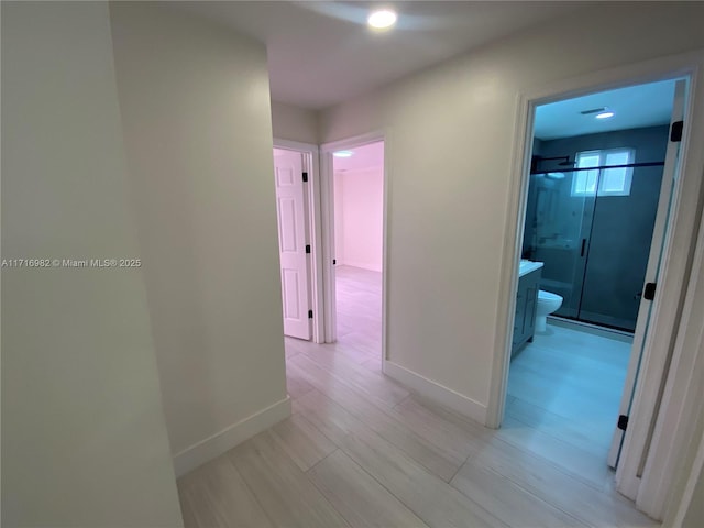 hall featuring light hardwood / wood-style floors