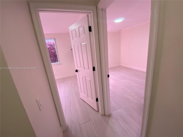 hallway featuring light wood-type flooring