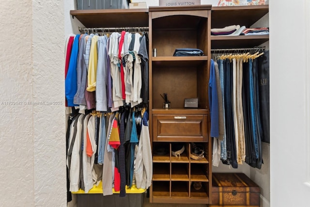 view of closet