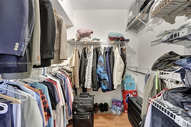 spacious closet with wood-type flooring